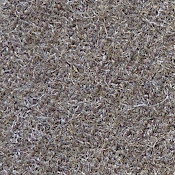 Close‐up view of the wool fabric used in the construction of the Jacket and garrison cap. Note the short nap. Close‐up view of the wool fabric used in the construction of the Jacket and garrison cap. Note the short nap.