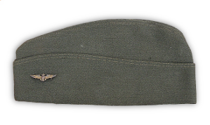 Left side of Navy officer's aviation winter garrison cap showing miniature wings at front.