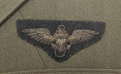 Navy bullion thread aviation wings.