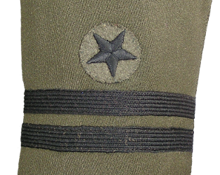 Aviation winter uniform sleeve rank and branch of service insignia.