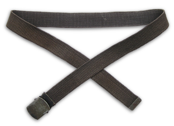 US Navy black web belt.